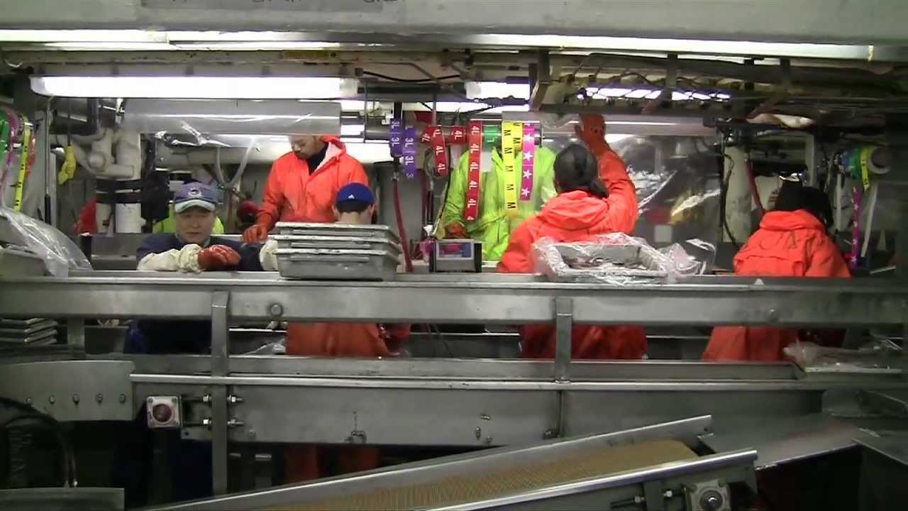 Working At Sea With Iquique US
