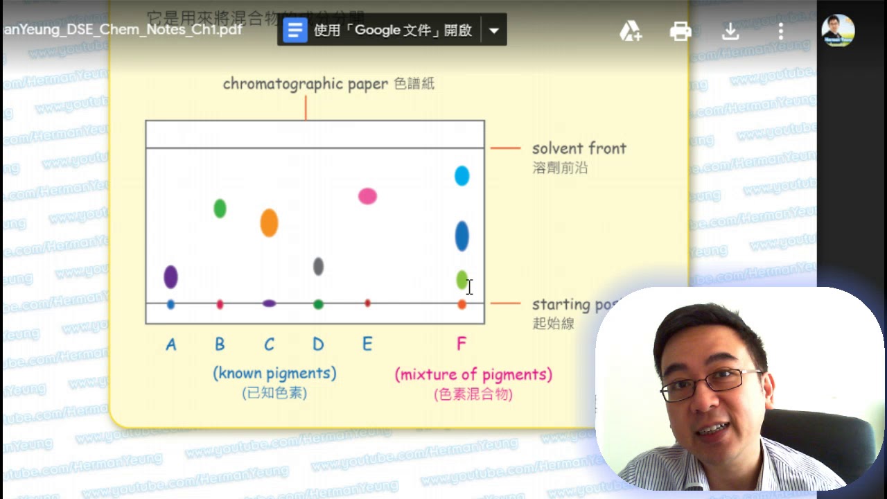 Herman Yeung - HKDSE Chemistry Chapter 15-1 (Analytical Chemistry 分析化學) - Paper Chromatography紙色層分析法