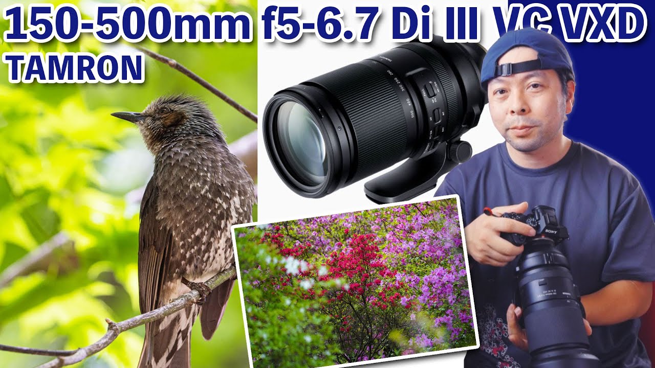 【カメラ】タムロンの超望遠ズームレンズ「150-500mm f5-6.7 Di Ⅲ VC VXD 」で野鳥撮影 (Sony Eマウント)