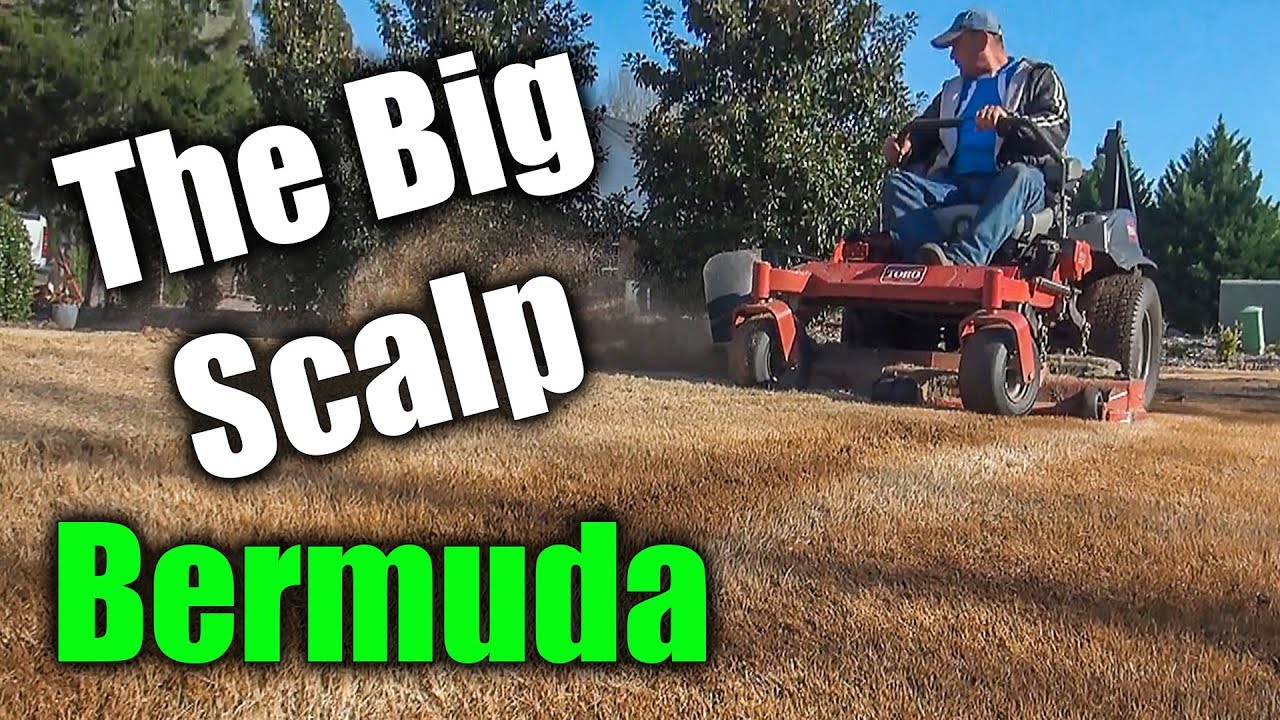 Scalping Bermuda Grass - The 2018 Spring Scalp of Lawn