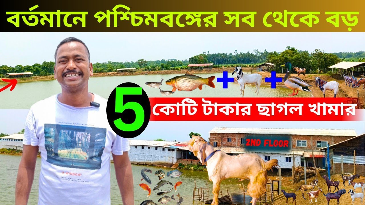 বর্তমানে পশ্চিমবঙ্গের সব থেকে বড় 5 কোটি টাকার ছাগল খামার।😱