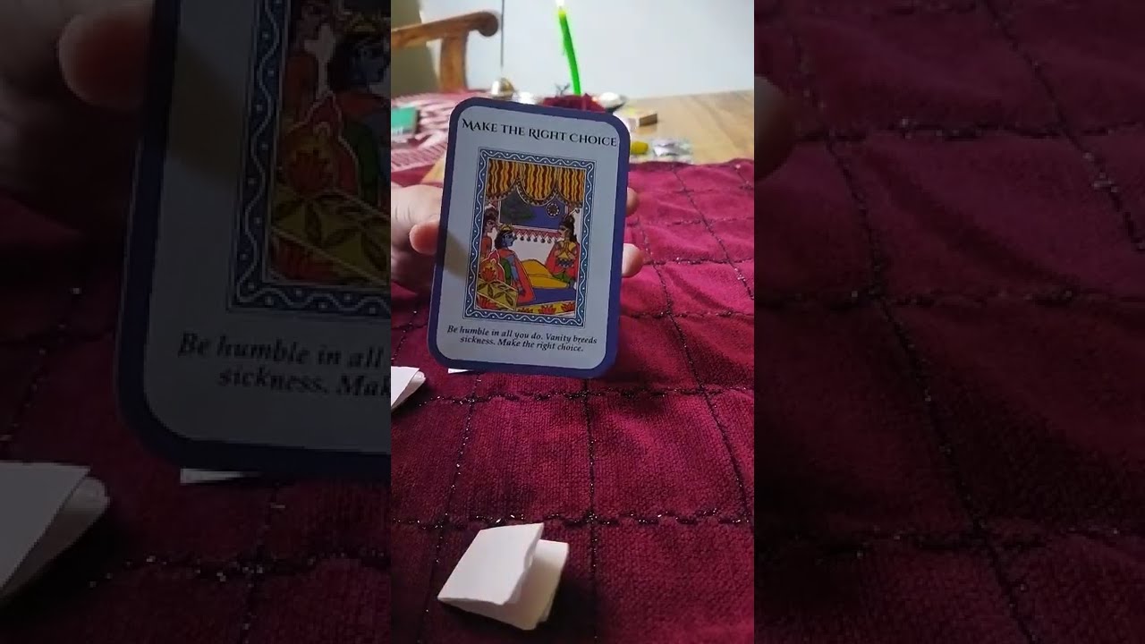 Message from your SPIRIT GUIDES!!!! general tarot reading/ LION OWL TAROT🦁🦉