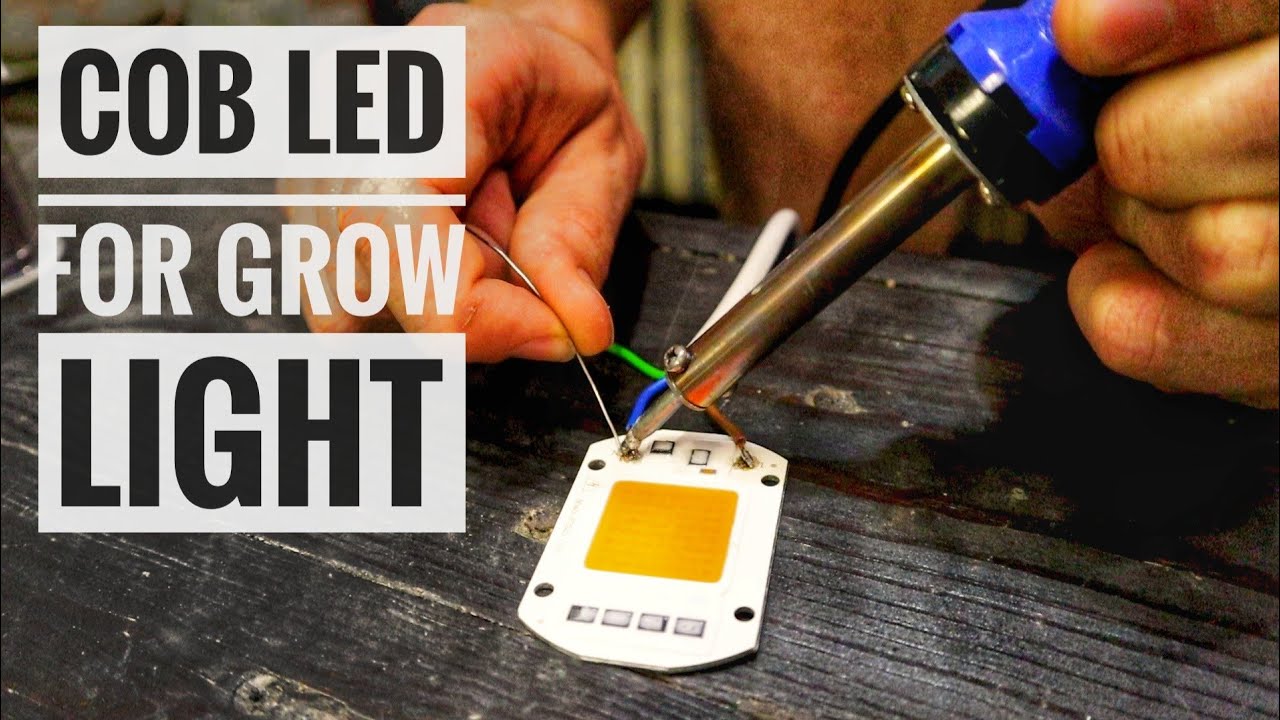 COB LED for DIY Grow Lights - Marijuana SA