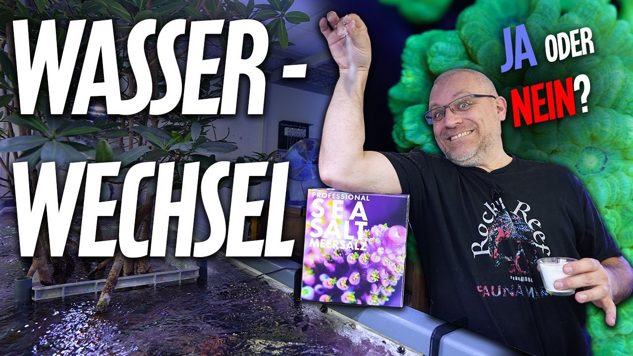 WASSERWECHSEL im Meerwasseraquarium? .. Claude klärt endgültig ALLES!