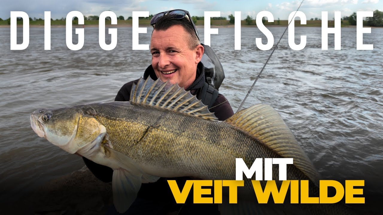 VEIT WILDE - Zander-Profi im Interview🎣 | DIGGE FISCHE #008
