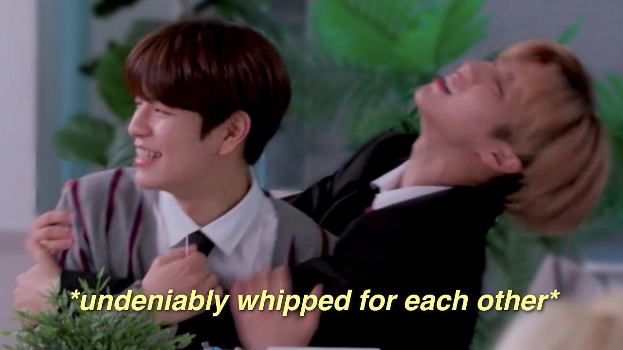 seungmin and han are each other's singer