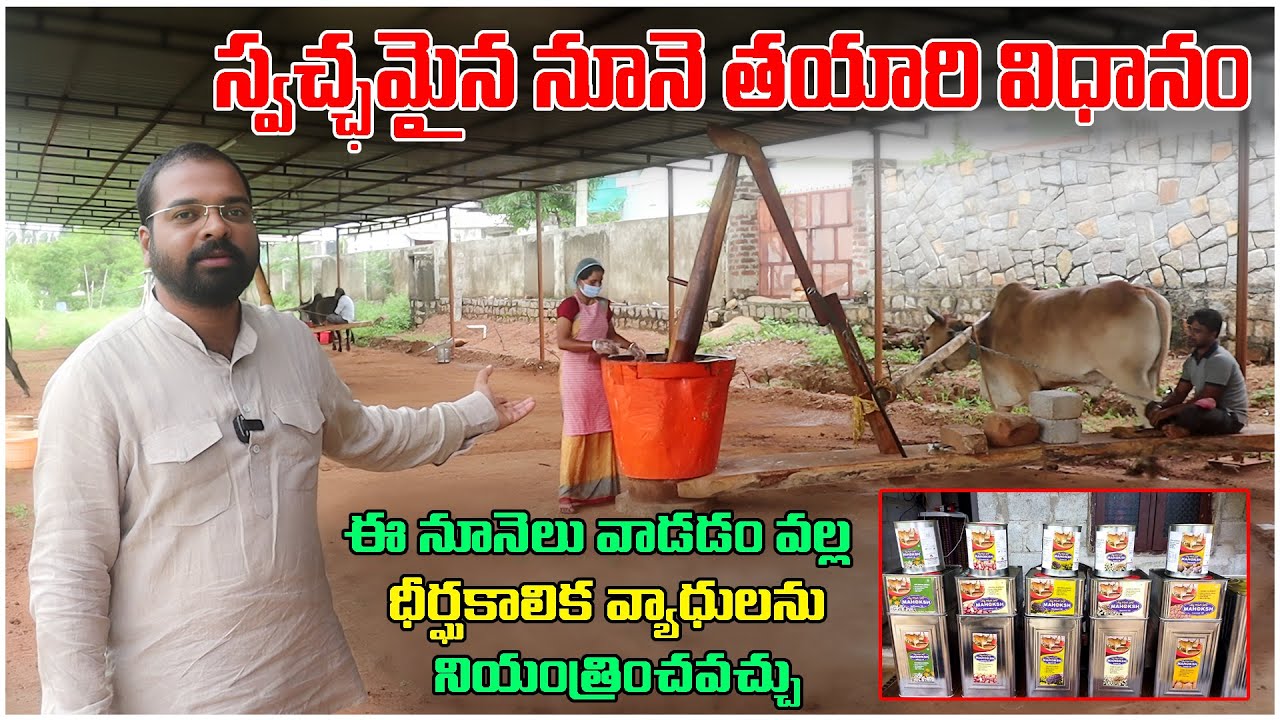 స్వచ్చమైన నూనె తయారి విధానం | Natural Oil Making | Organic Oil | Ganuga Nune | Best Business Deals