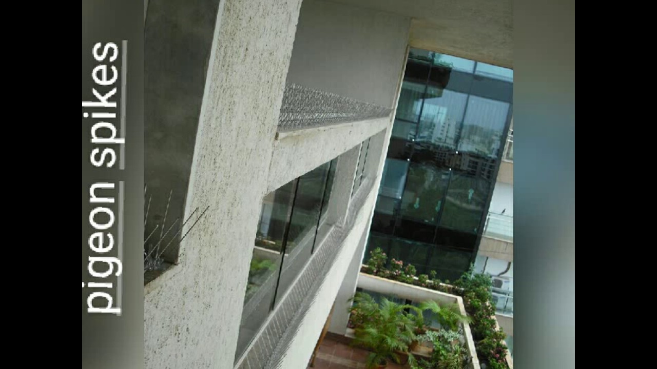 Balcony and cricket duck area pigeon building nets call Now 9791170467,8124595325,7550187336