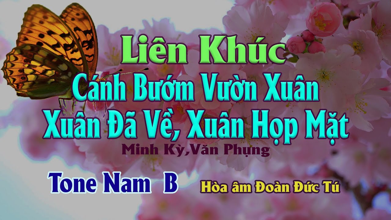 karaoke, Liên Khúc Xuân Đã Về [Tone Nam] Minh Kỳ, Văn Phụng, hòa âm Đoàn Đức Tú.