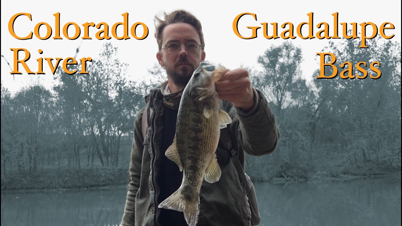 Guadalupe and Largemouth Bass Fishing on the Colorado River. Texas Float Trip. El Camino Trail.
