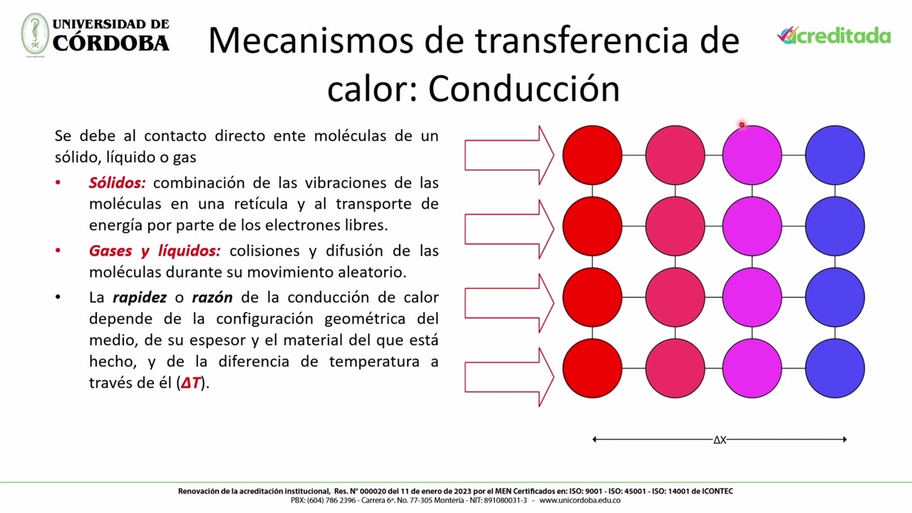 Introducción y conceptos básicos