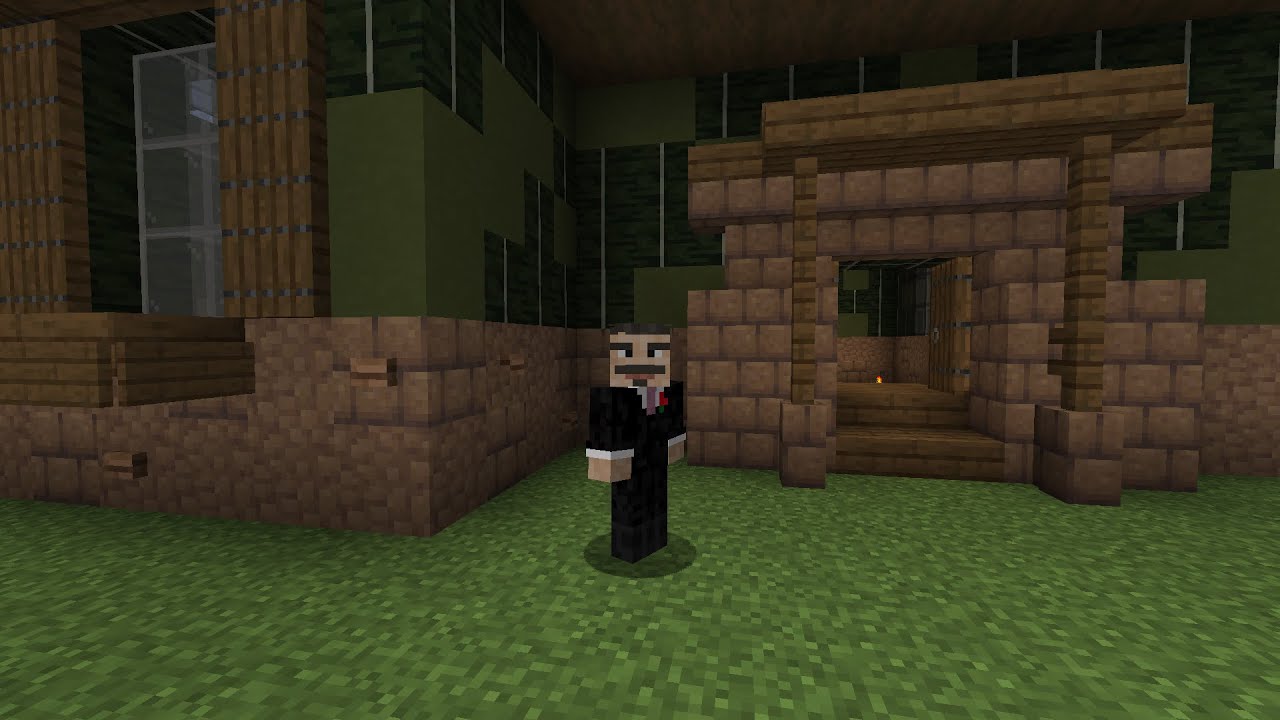 I Build Skizzlecraft House