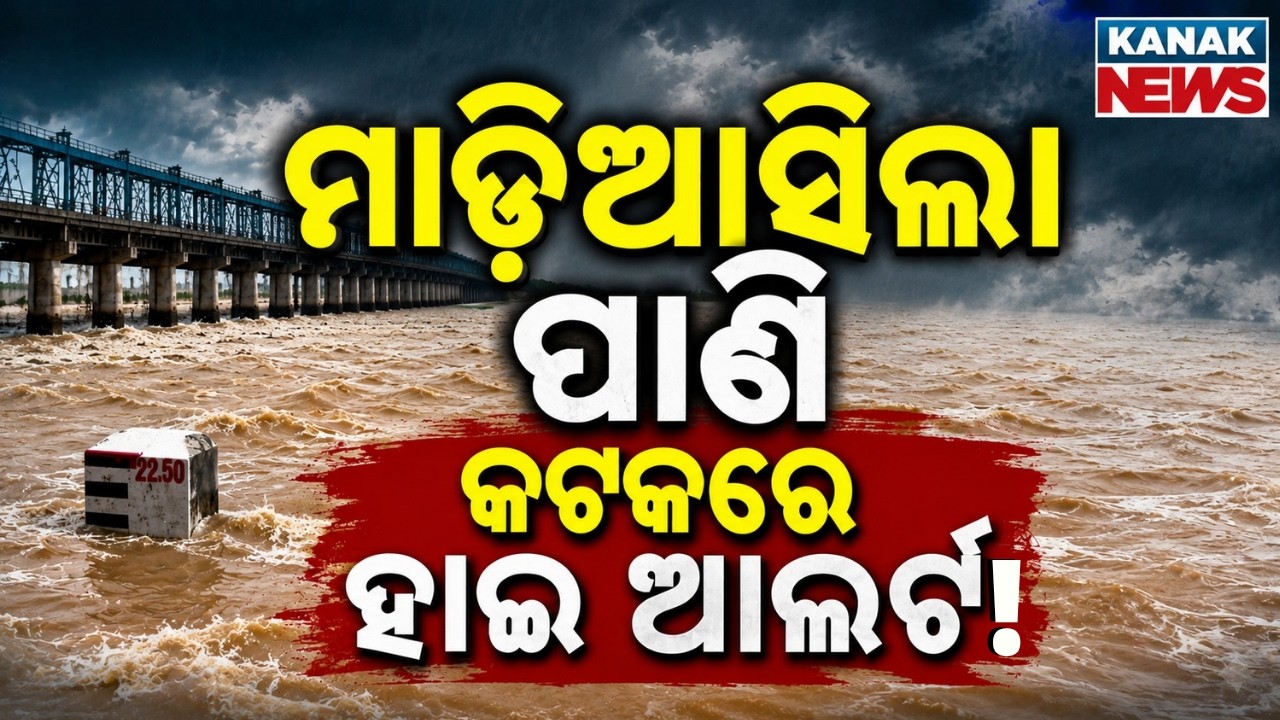 କଟକରେ ମାଡ଼ି ଆସିଲା ପାଣି Mahanadi Flood Alert | Flood News | Flood Alert In Odisha | Naraj