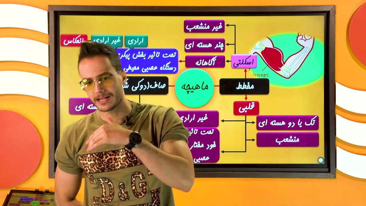 انواع بافت ماهیچه ای