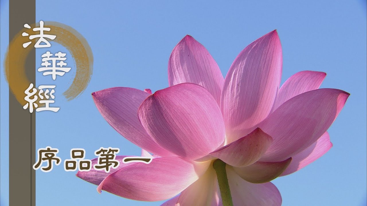 【靜思妙蓮華】法華經序品第一 - 受大教 修大法 行大道 -  20191114 第30集