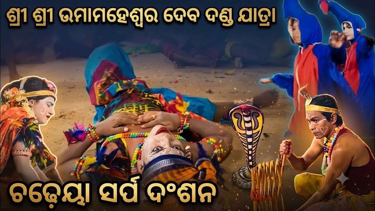 ଚଢ଼େୟା ସର୍ପ ଦଂଶନ 🐍 ।। ଶ୍ରୀ ଶ୍ରୀ ଉମାମହେଶ୍ଵର ଦେବ ଦଣ୍ଡ ନାଚ  ।। 📍 BALUGAON,CHILIKA 