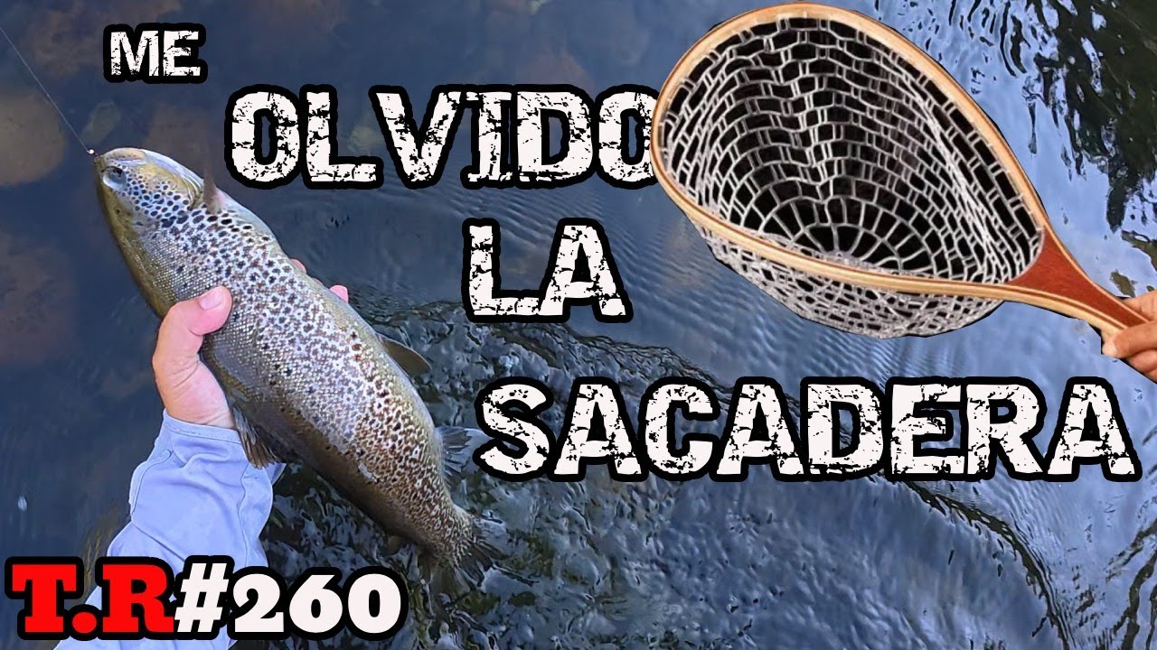 👉ME OLVIDO LA SACADERA Y SALEN TRUCHONES🤷‍♂️