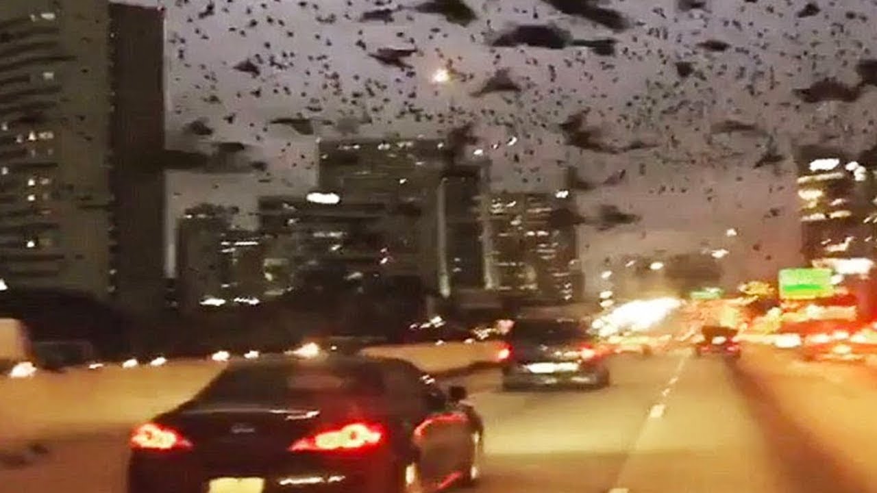 9 Misterios inexplicables captados en el cielo