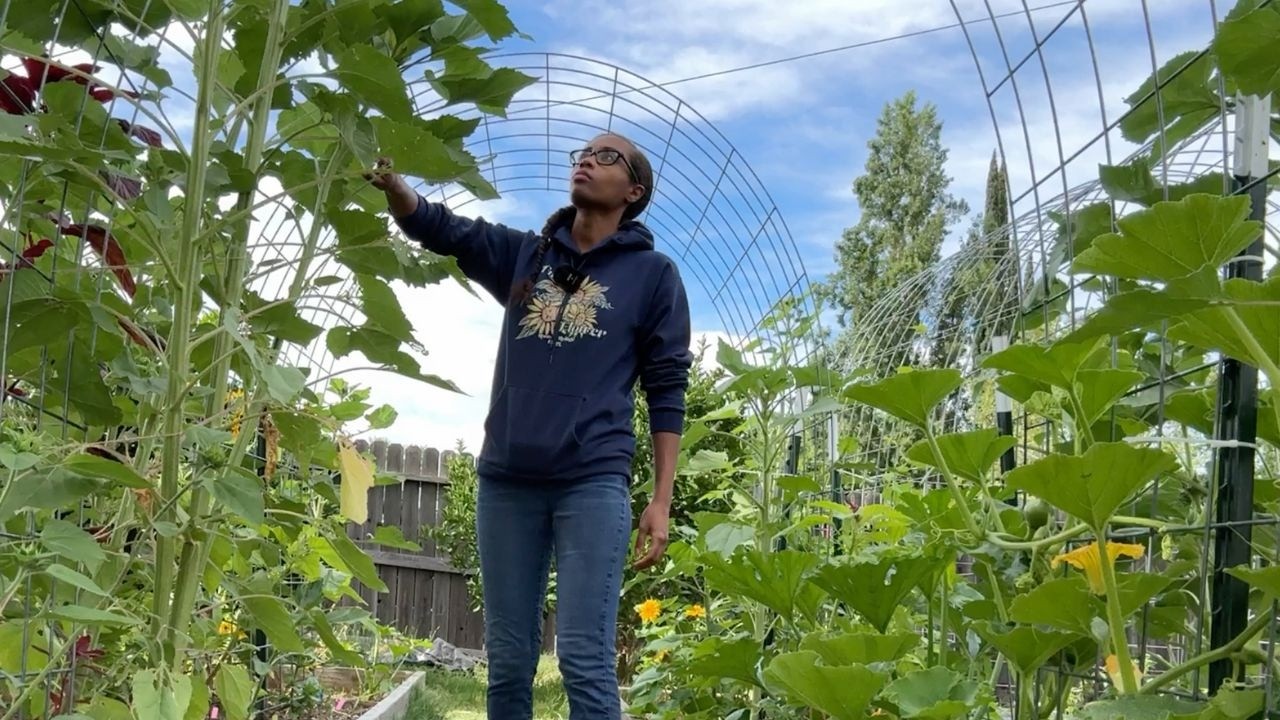 Early June Garden Tour (the Good, the Bad, and the Ugly) | Spring Garden 2024