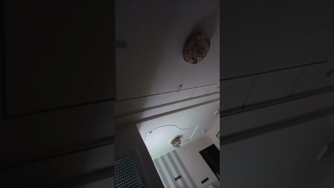 بدأت قناة 