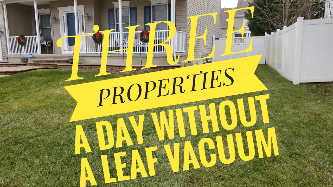 Leaf removal without a vacuum 