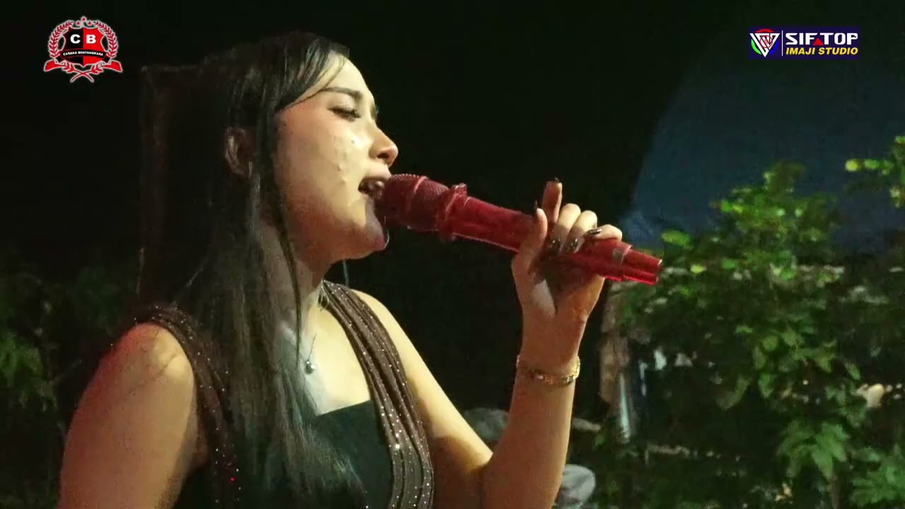 CINTA NING LAMUNAN - ELSA SALSABILA - KOPLO PANTURA CARAKA BHAYANGKARA LIVE PENDE BANJARHARJO