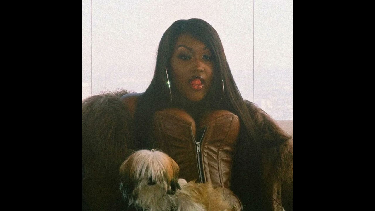 Doja Cat - Agora Hills (Cupcakke Remix)