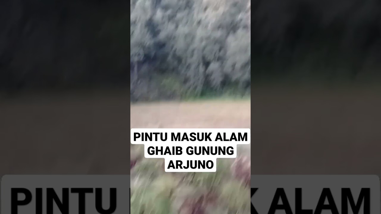 lembah macan gunung arjuno #mistis #horor #alaslalijiwo #gunungarjuno