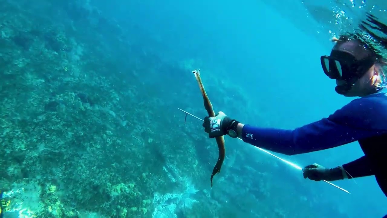 Fuerteventura. Spearfishing.