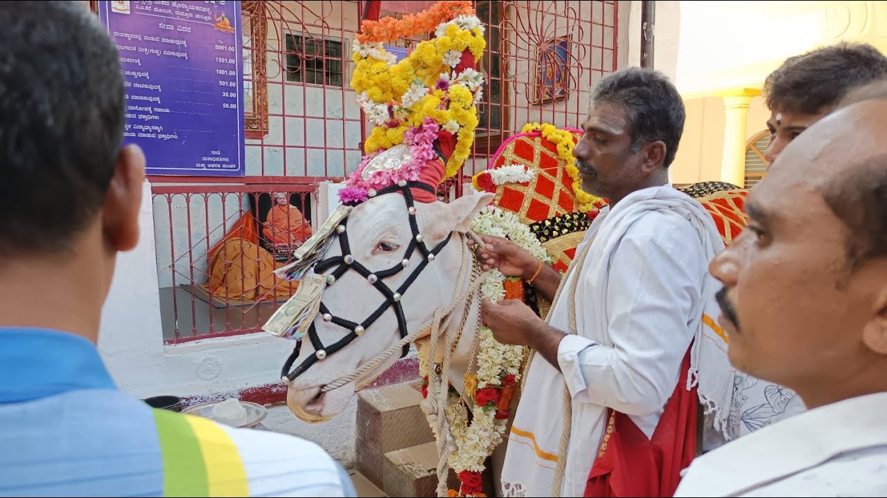 #Manteswamy Basava #Basavappa #Honnayakanahalli #Siddappaji #Siddappajipaviannur #Manteswamy