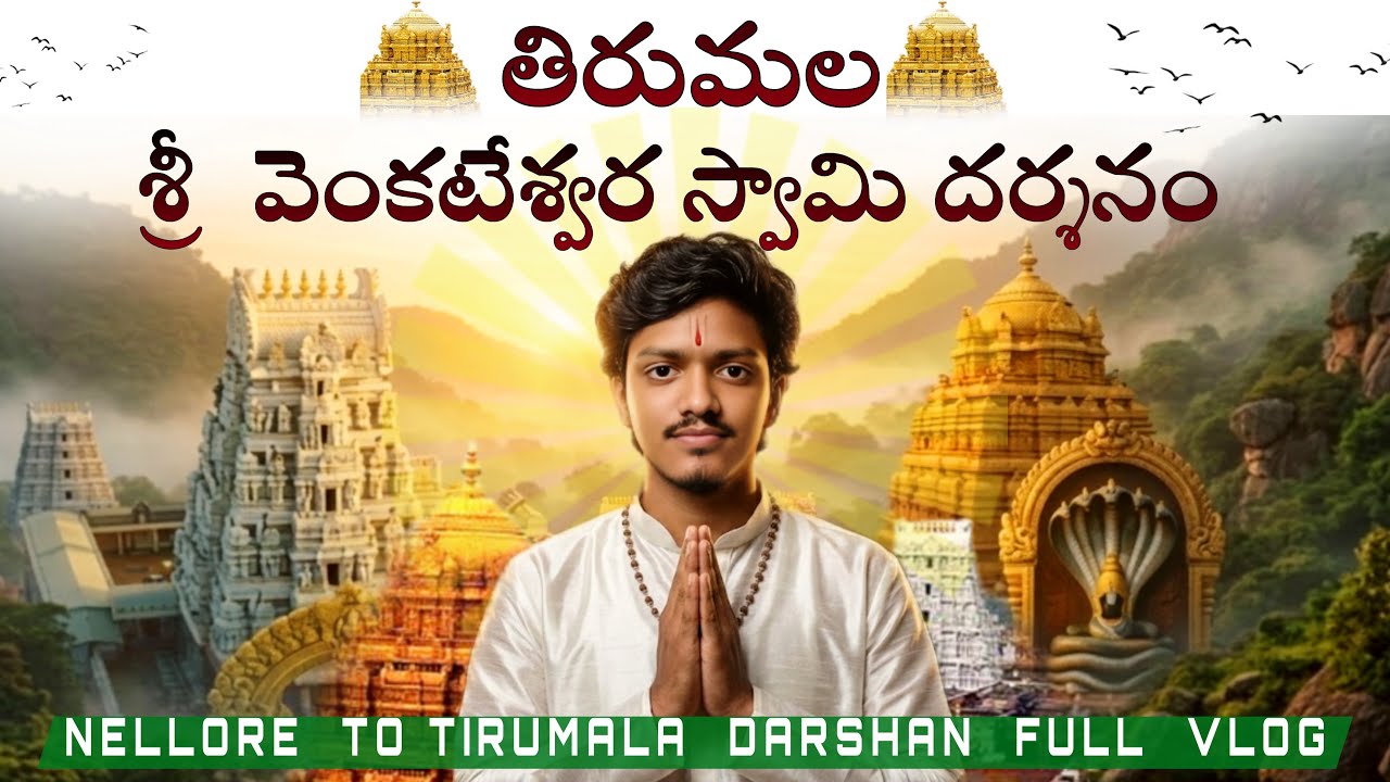 Tirumala Journey 🙏 | Complete Guide to Tirupati Darshan | తిరుమల ప్రయాణం|My Diaries