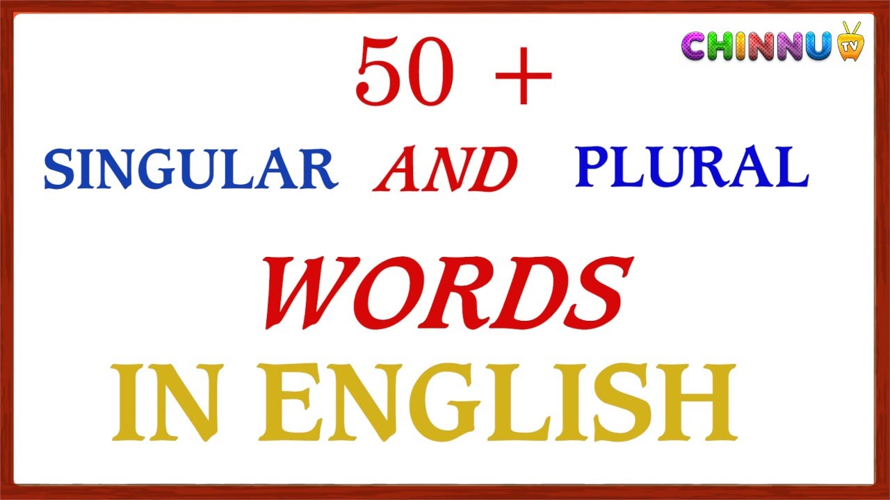 50 Singular and Plural Words | English Grammar | What is singular and plural words?|@chinnutvkids