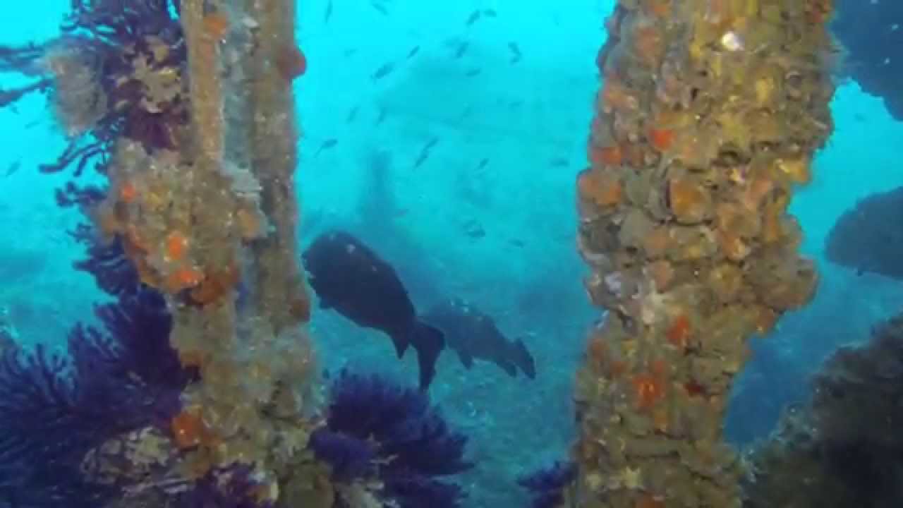 Plongée sur le Donator - GoPro
