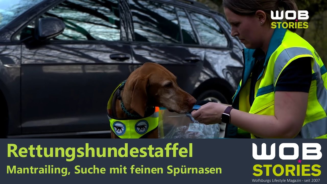 Rettungshundestaffel - Mantrailing, Suche mit feinen Spürnasen