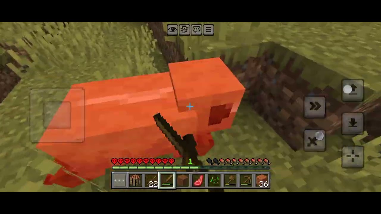 Minecraft hardcore challenge 