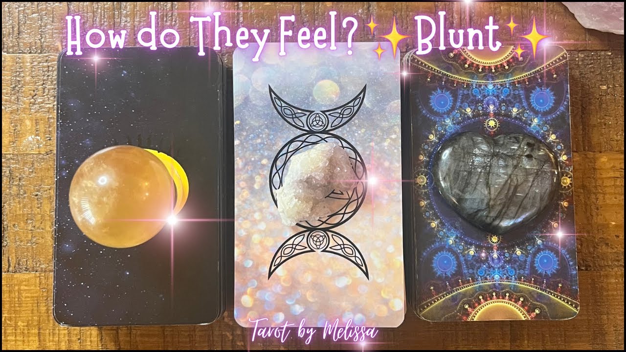 Pick-a-Card: How do They Feel? 🍁✨Blunt✨🍁