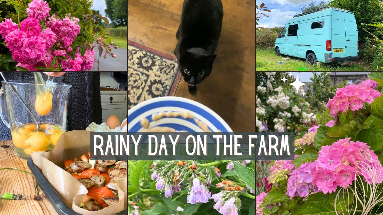 A cosy, rainy day on the farm
