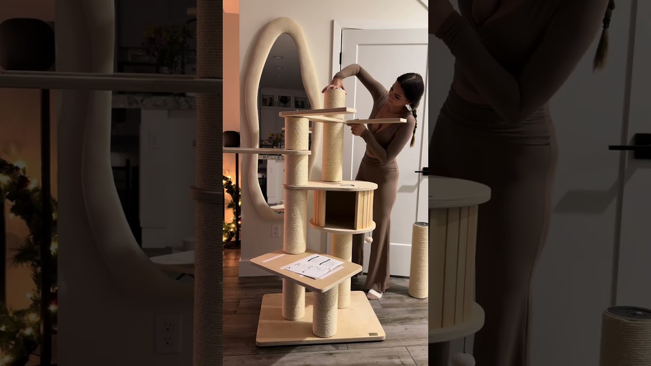 Luxurious XXL Cat Tree for Big Cats & Maine Coons #largecattree