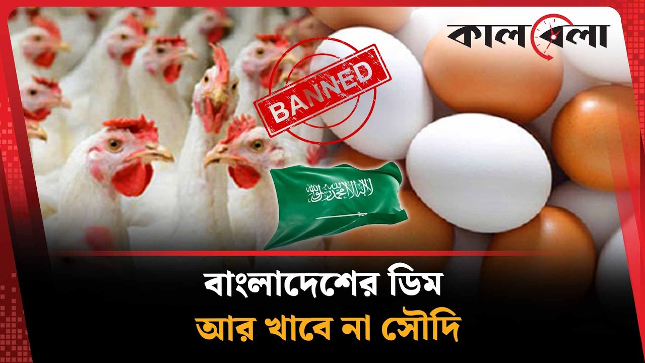 বাংলাদেশের ডিম কেন খাবে না সৌদি? | Bangladesh | Egg | UAE | Kalbela