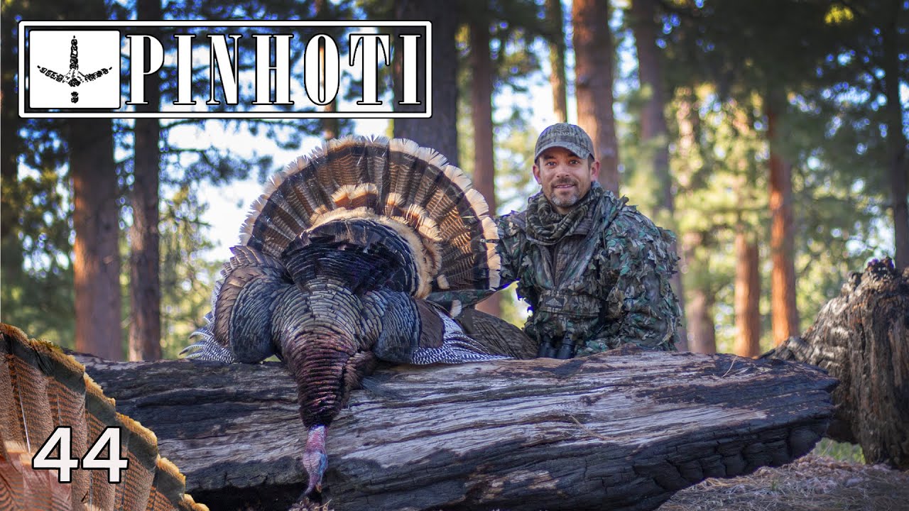 MY PERFECT MERRIAM'S TURKEY HUNT | ARIZONA PUBLIC LAND | READING 'n' PLAYING THEM RIGHT- Pinhoti