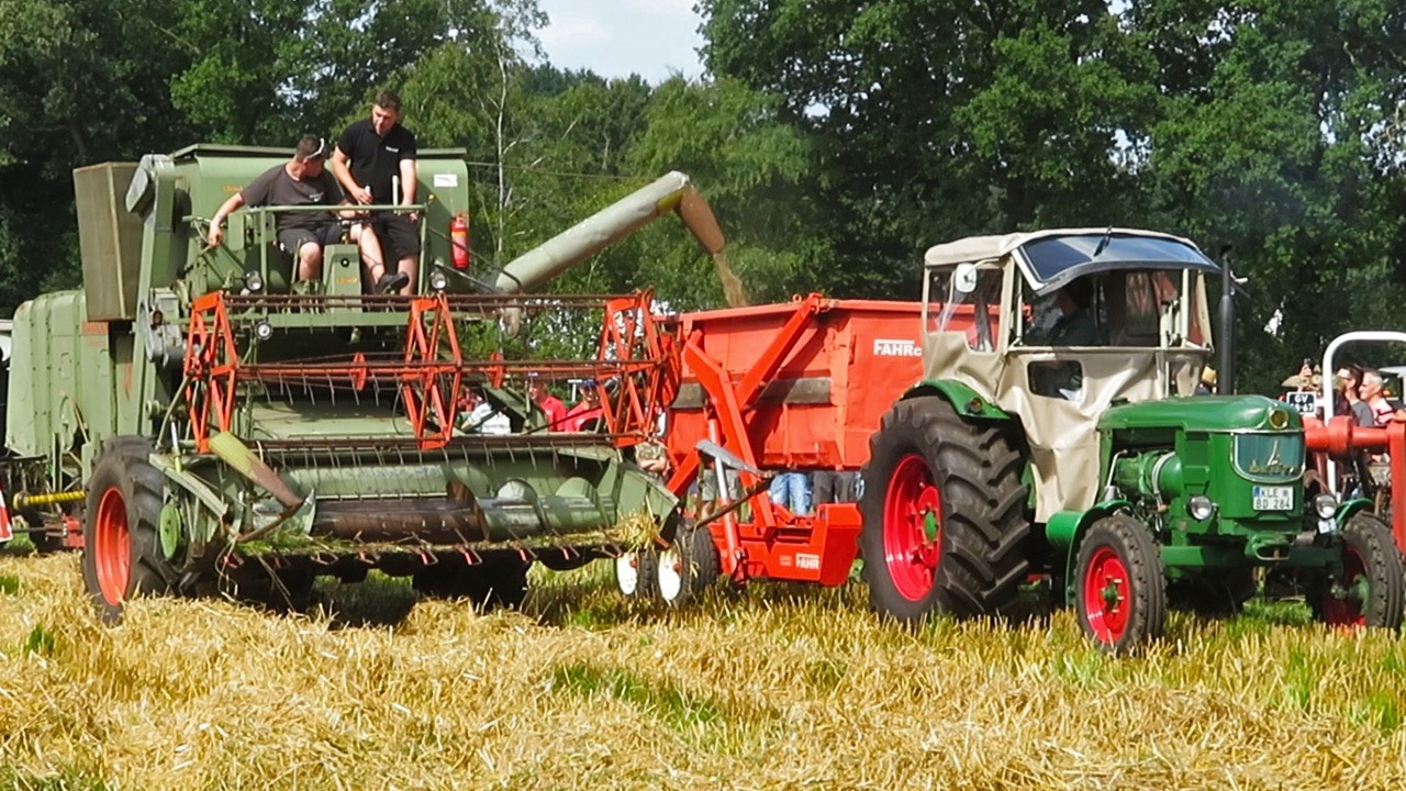 Feldtag Nordhorn 2025