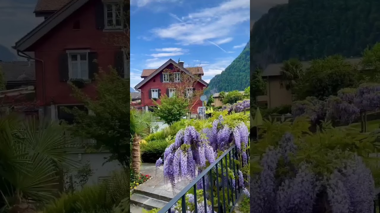 Beautiful Moments of Switzerland   The dramatic alpine scenery in addition to its historic towns and
