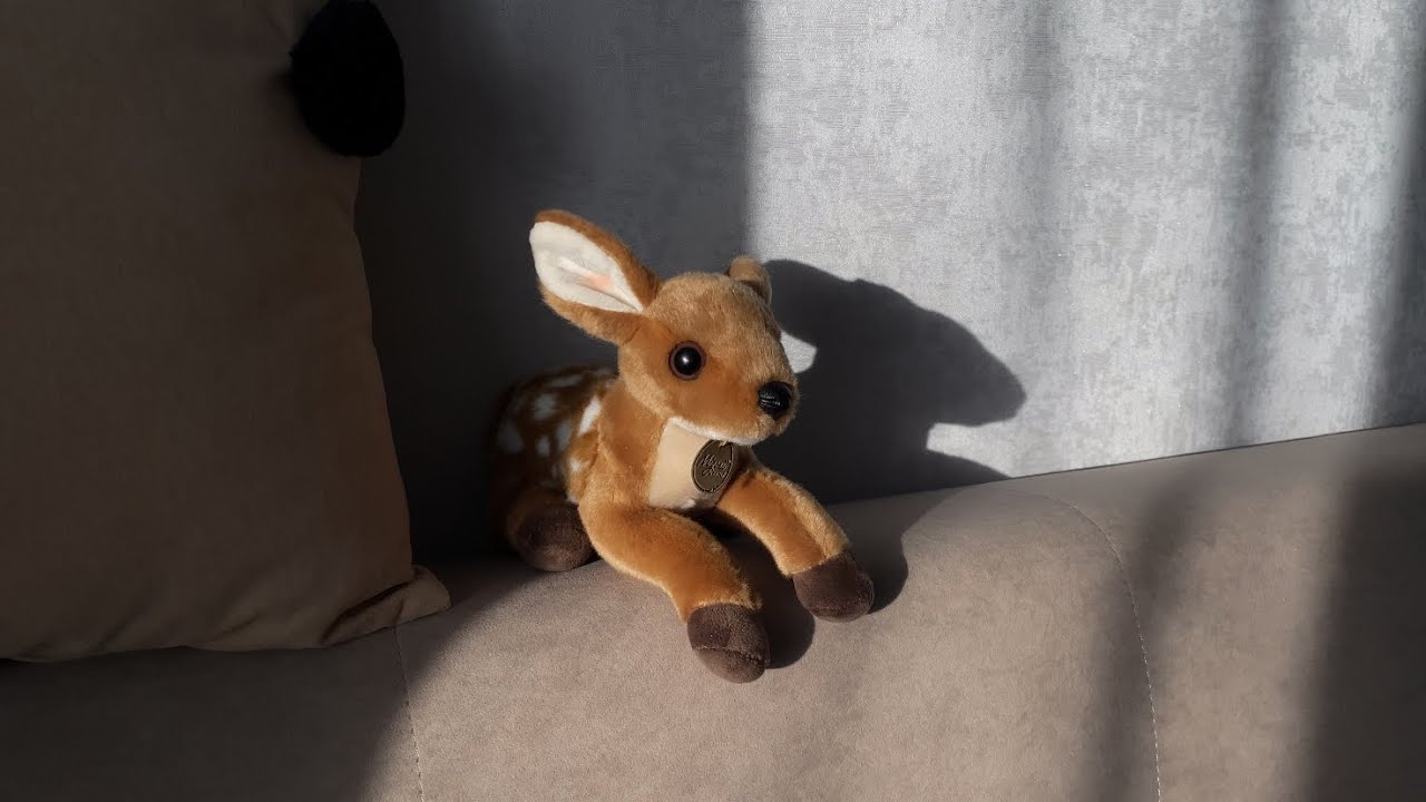 истина в тишине 