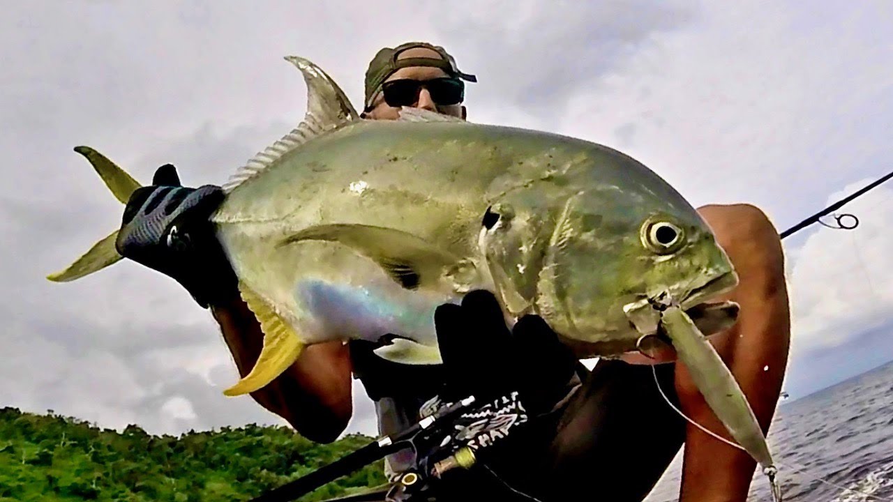 Barracuda & Carangues - Rock Fishing Guadeloupe