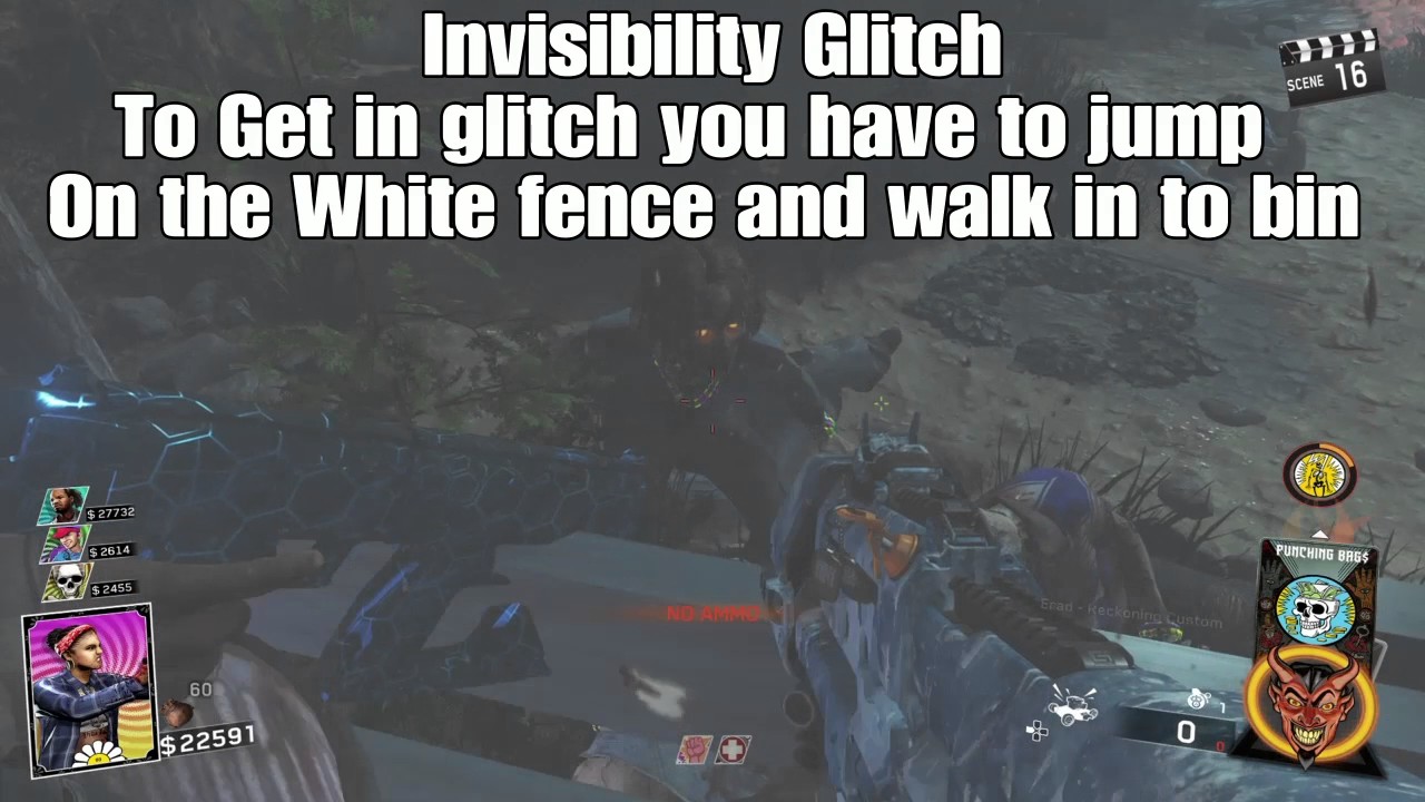 Rave in the red woods invisibility Glitch