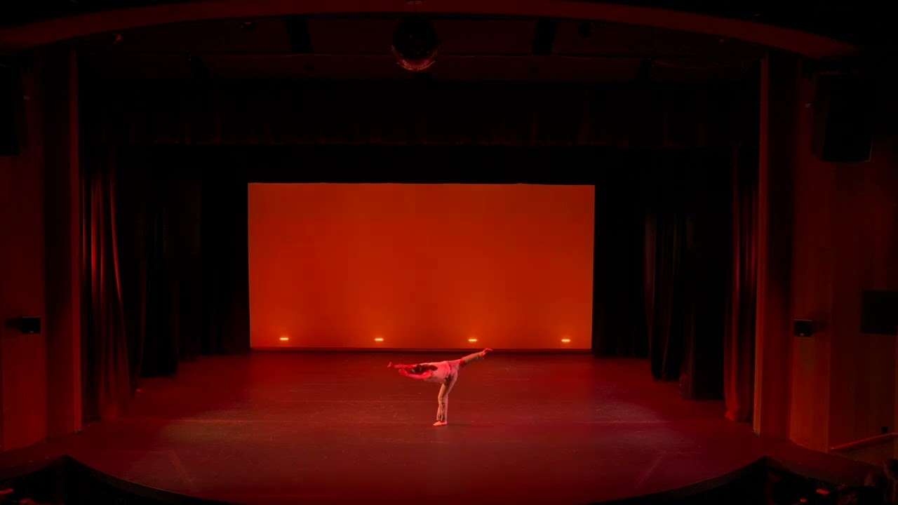 The Insects In Your Head - Vision Dance Troupe