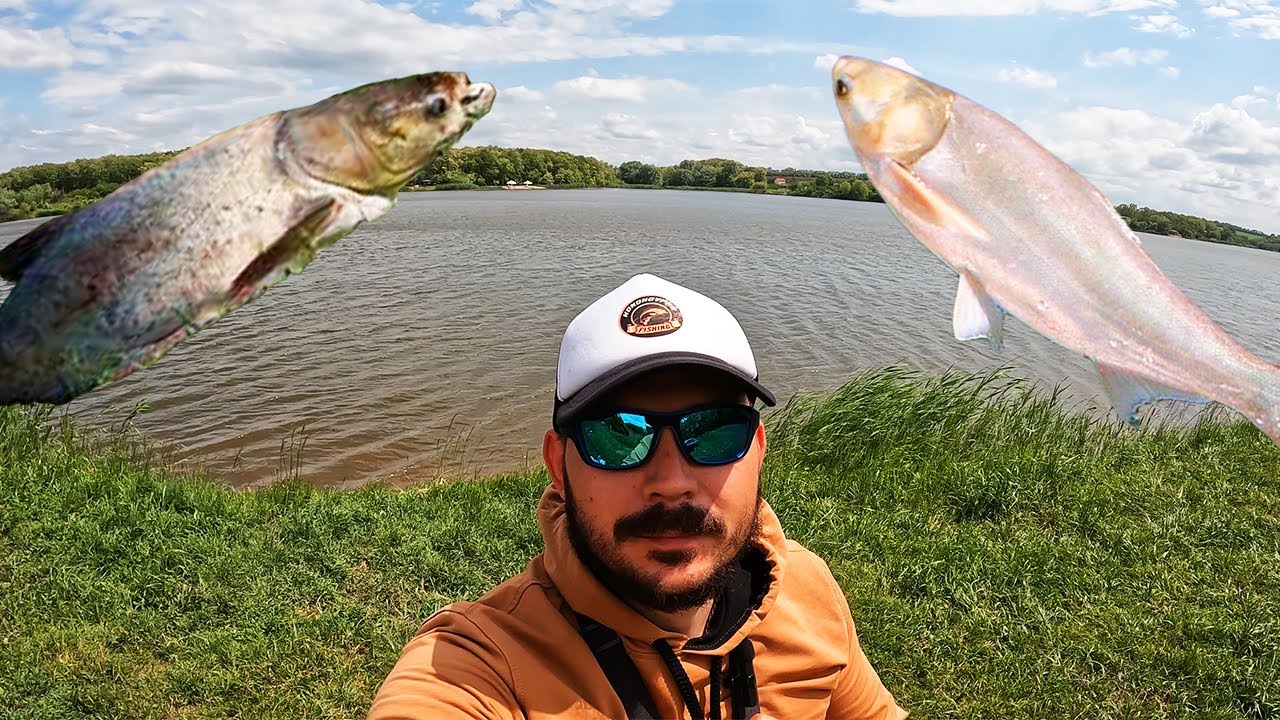 Ні у кого не клює! А, я ЛОВЛЮ! Рибалка на ТОВСТОЛОБА в ТРАВНІ!!