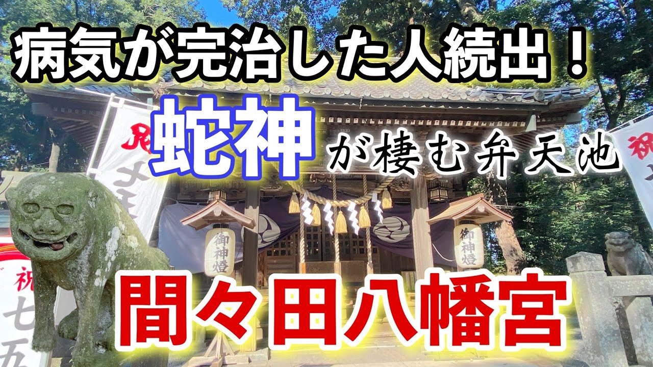 [緊急][病気平癒]白蛇が棲む癒しの聖地「間々田八幡宮」〜道の駅みかも散歩♪