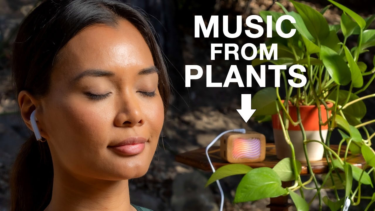 Meditation with Magical Plant Music Device - PlantWave