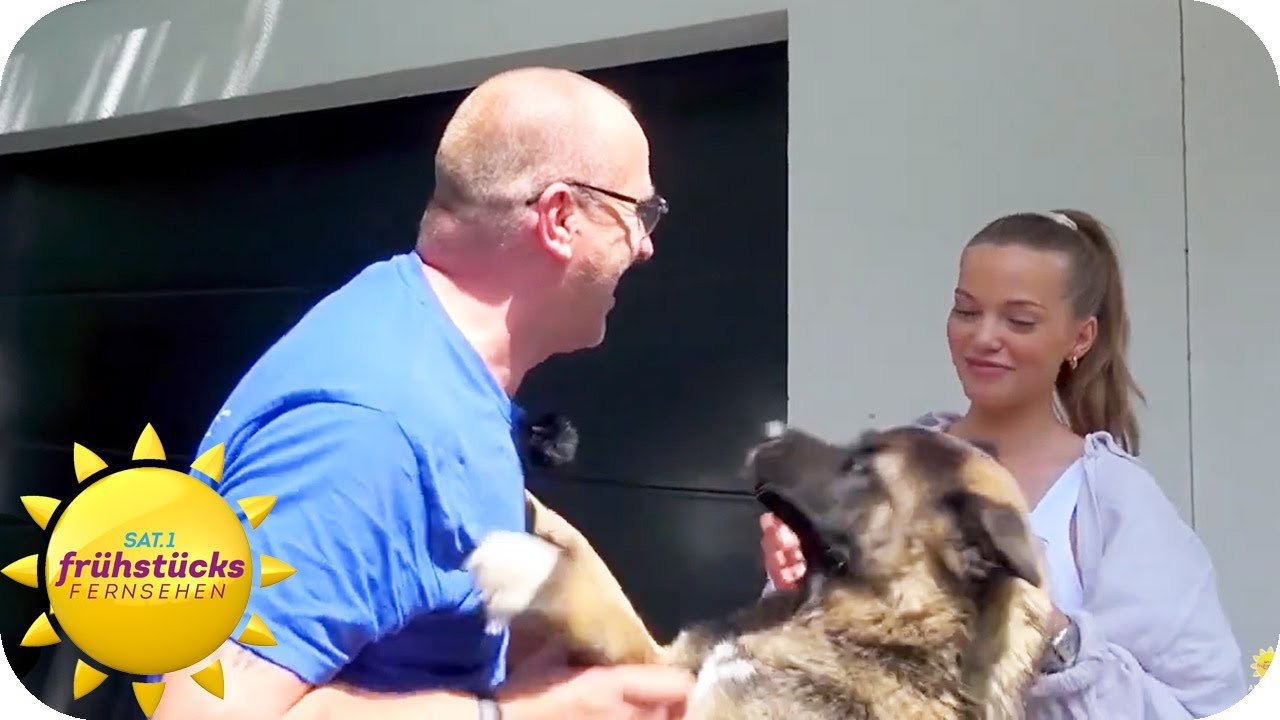 Der Hundetrainer der Stars - das ist sein Geheimrezept | SAT.1 Frühstücksfernsehen